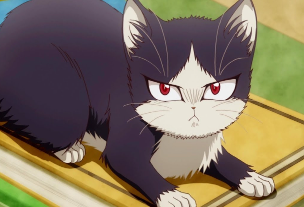 Review Anime My Roommate Is a Cat